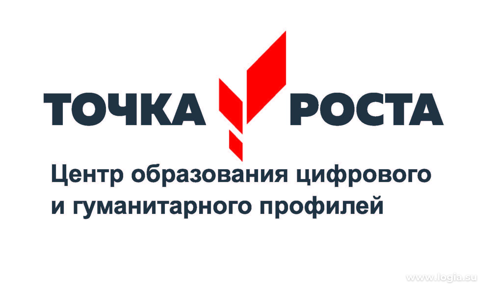 «Иммерсивные технологии обучения: практические аспекты реализации в Центре образования цифрового и гуманитарного профилей «Точка роста».